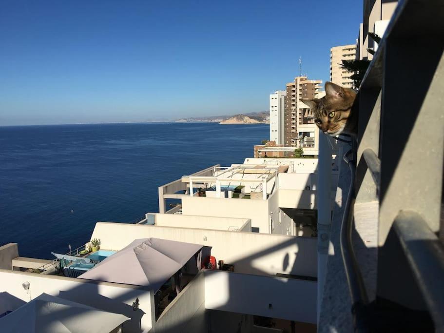 Piso En La Primera Linea Del Mar Con 2 Dormitorios Μπένιντορμ Εξωτερικό φωτογραφία